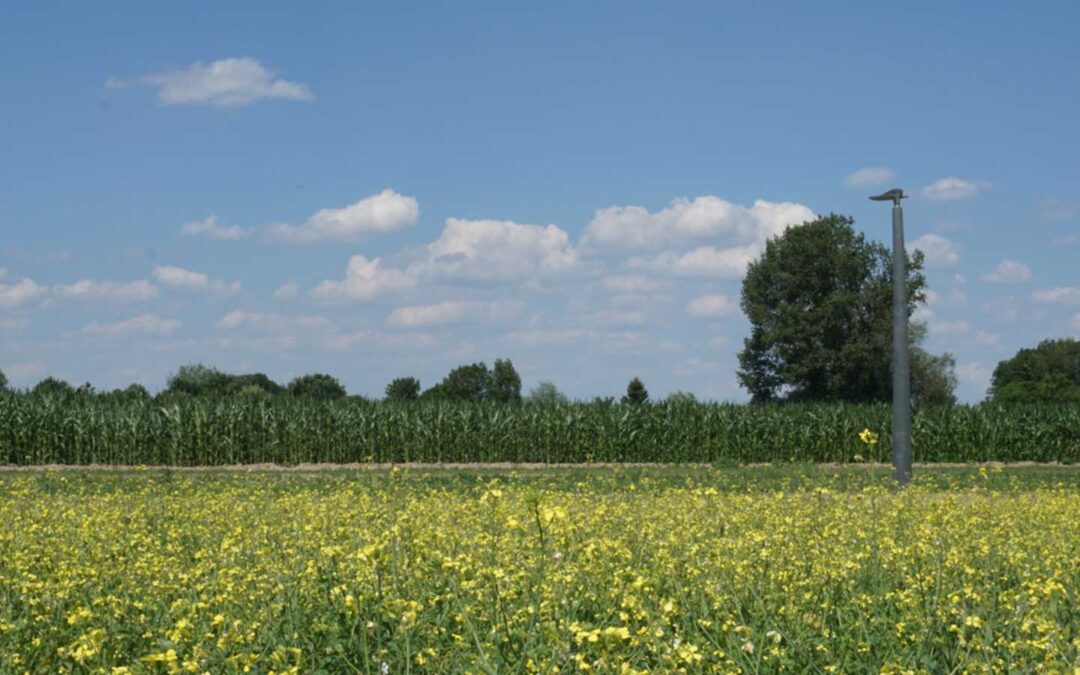 climate-positive light poles and turf (Zevenaar)